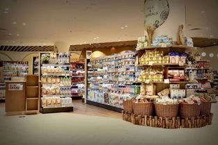 佳兆業旗下精品超市Casamia廣州亮相，新零售版圖再添時尚生活新場景